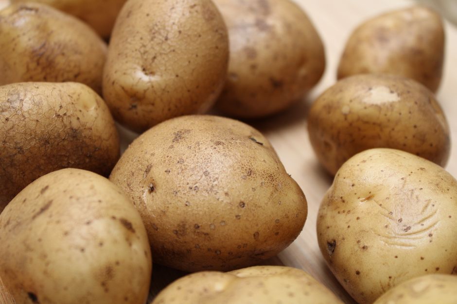 Quelle pomme de terre choisir pour un gratin réussi ?